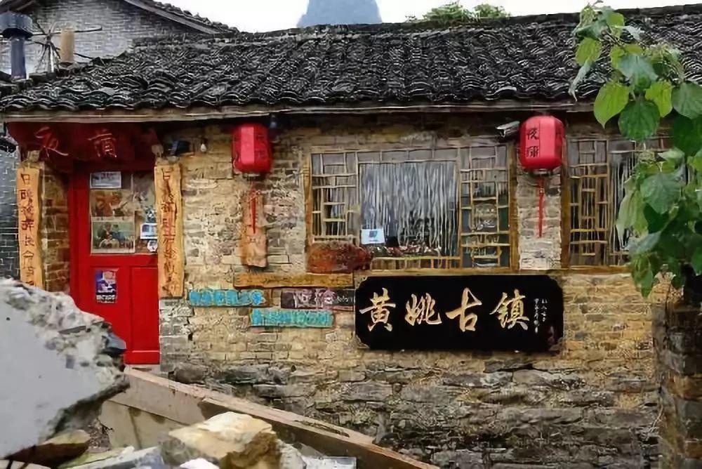 探索知识星球平台 - 非洲爪蛙能吃吗?知识共享乐园